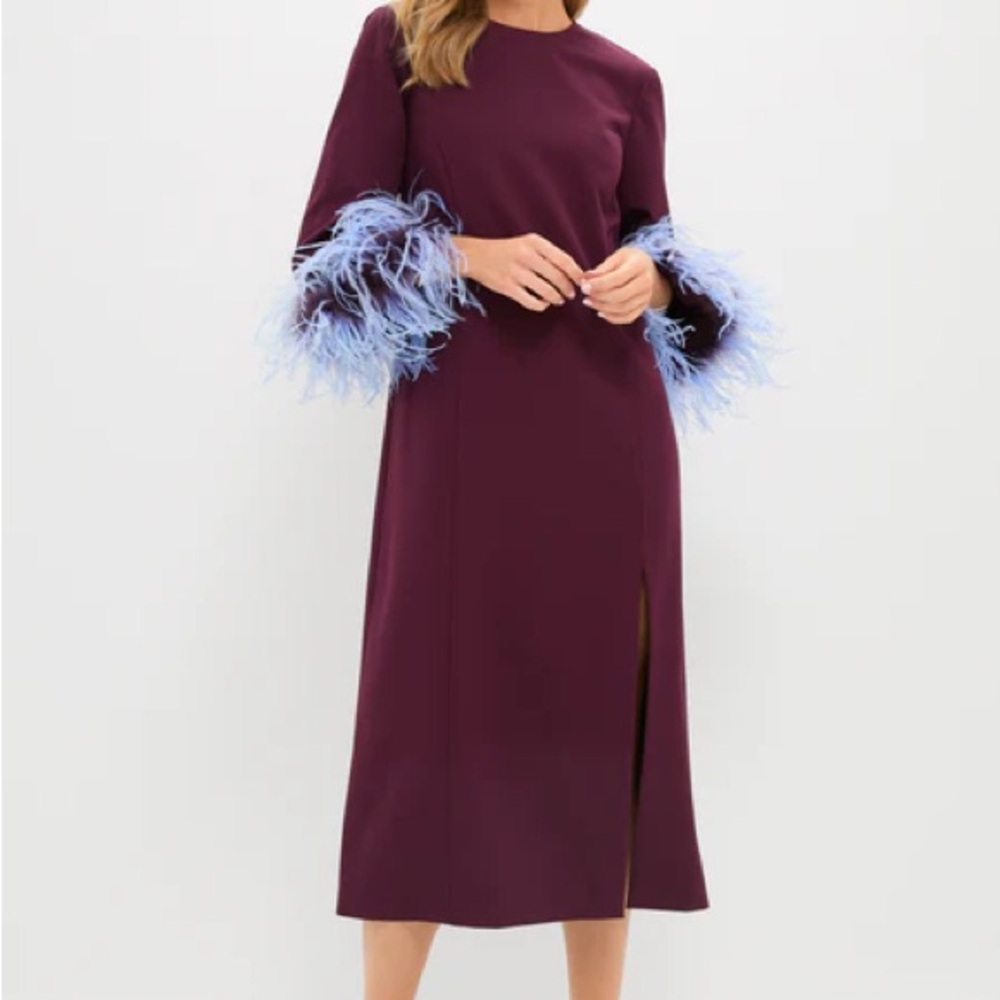 Tuckernuck Plum Dress with Blue Feather Sleeves